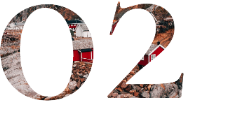 start_picture_illustration_02